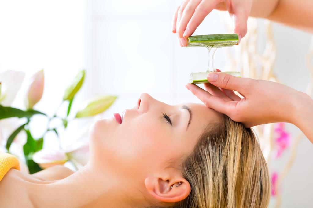Wellness & Ayurveda Am Eichenberg Hotel Bad Harzburg